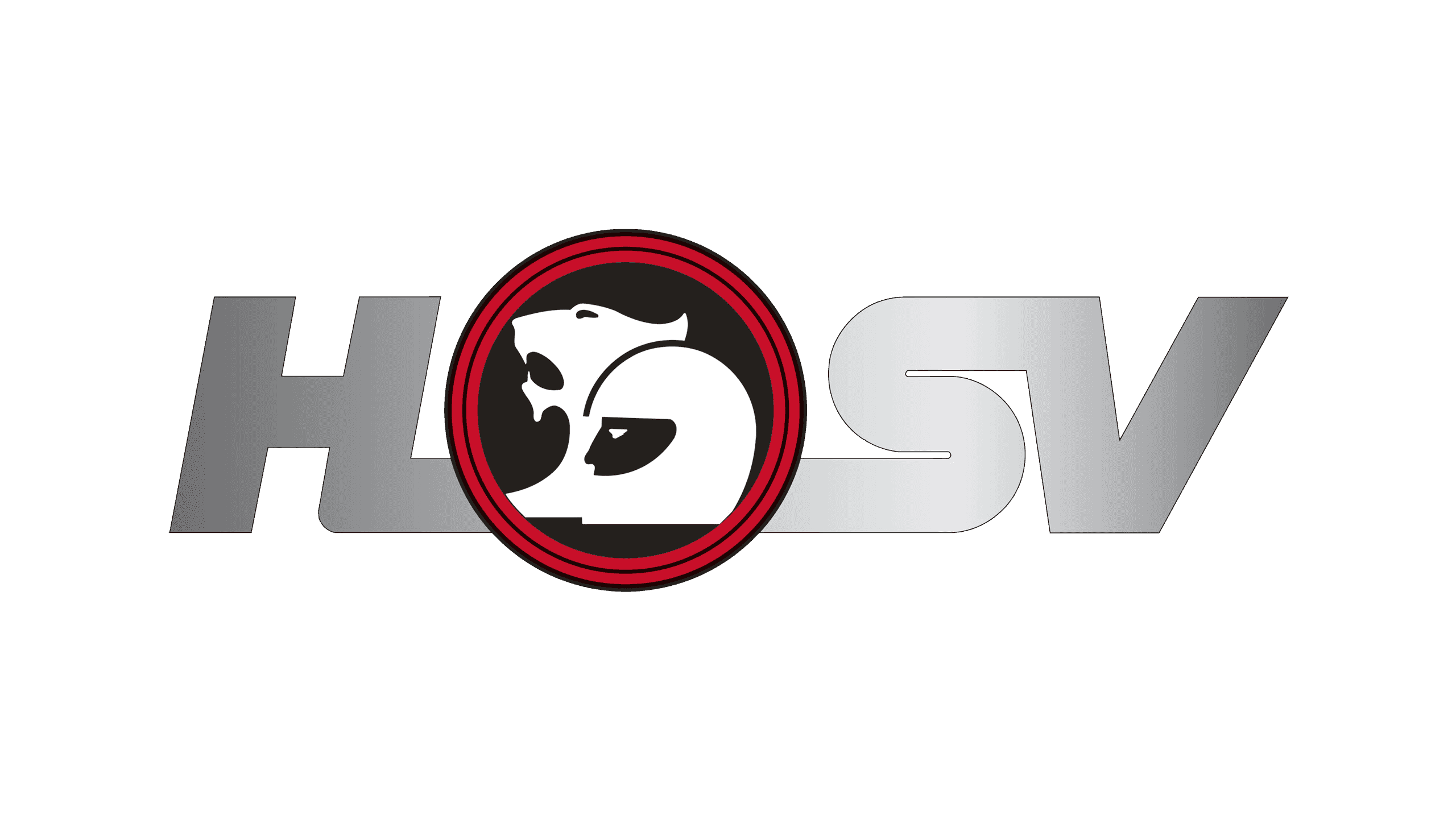 HSV logo